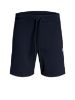 Bilde av CLEAN COLLEGE SHORTS - MØRKEBLÅ